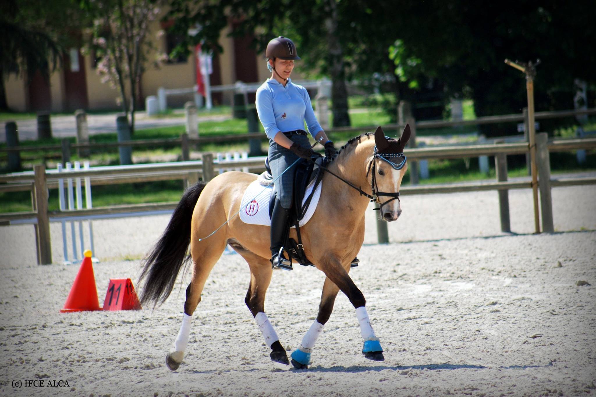 Dressage